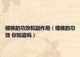 橘核的功效和副作用（橘核的功效 你知道吗）