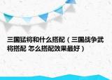 三国猛将和什么搭配（三国战争武将搭配 怎么搭配效果最好）