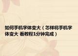 如何手机字体变大（怎样将手机字体变大 看教程1分钟完成）