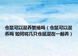 仓鼠可以混养繁殖吗（仓鼠可以混养吗 如何将几只仓鼠混在一起养）