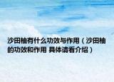 沙田柚有什么功效与作用（沙田柚的功效和作用 具体请看介绍）