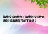 清华校长的级别（清华副校长什么级别 说出来你可能不敢信）