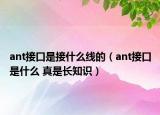 ant接口是接什么线的（ant接口是什么 真是长知识）
