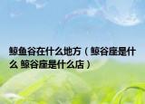 鲸鱼谷在什么地方（鲸谷座是什么 鲸谷座是什么店）