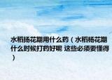 水稻扬花期用什么药（水稻杨花期什么时候打药好呢 这些必须要懂得）
