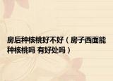 房后种核桃好不好（房子西面能种核桃吗 有好处吗）