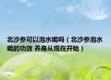 北沙参可以泡水喝吗（北沙参泡水喝的功效 养身从现在开始）