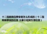 十二指肠降段憩室是怎么形成的（十二指降肠憩室的位置 主要介绍其生理位置）