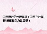 卫星运行的物理原理（卫星飞行原理 速度和引力是关键）