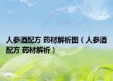 人参酒配方 药材解析图（人参酒配方 药材解析）