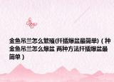 金鱼吊兰怎么繁殖(扦插爆盆最简单)（种金鱼吊兰怎么爆盆 两种方法扦插爆盆最简单）