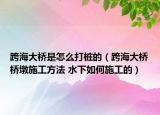 跨海大桥是怎么打桩的（跨海大桥桥墩施工方法 水下如何施工的）