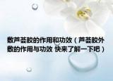 敷芦荟胶的作用和功效（芦荟胶外敷的作用与功效 快来了解一下吧）