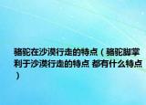 骆驼在沙漠行走的特点（骆驼脚掌利于沙漠行走的特点 都有什么特点）