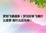 梦到飞蛾很多（梦见好多飞蛾什么意思 有什么征兆吗）