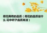 荷花具有的品质（荷花的品质是什么 花中君子品质高洁）