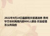 2022年9月18日最新相关报道消息 贵州毕节农村两周内超600人感染 织金疫情怎么传染的