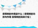 香樟树的作用是什么（香樟树的功效与作用 香樟树的简单介绍）