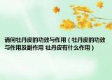 请问牡丹皮的功效与作用（牡丹皮的功效与作用及副作用 牡丹皮有什么作用）