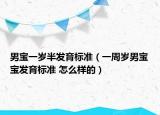 男宝一岁半发育标准（一周岁男宝宝发育标准 怎么样的）