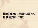 拔罐的作用?（拔罐的功效与作用 快快了解一下吧）