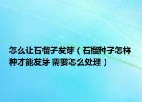 怎么让石榴子发芽（石榴种子怎样种才能发芽 需要怎么处理）