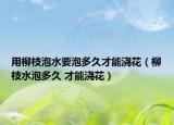 用柳枝泡水要泡多久才能浇花（柳枝水泡多久 才能浇花）