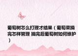葡萄树怎么打理才结果（葡萄菜摘完怎样管理 摘完后葡萄树如何维护）
