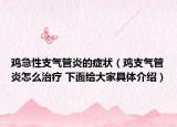 鸡急性支气管炎的症状（鸡支气管炎怎么治疗 下面给大家具体介绍）