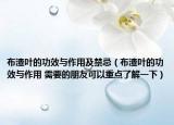 布渣叶的功效与作用及禁忌（布渣叶的功效与作用 需要的朋友可以重点了解一下）