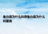 鱼台县为什么叫唐鱼台县为什么叫堂邑
