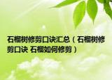石榴树修剪口诀汇总（石榴树修剪口诀 石榴如何修剪）