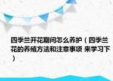 四季兰开花期间怎么养护（四季兰花的养殖方法和注意事项 来学习下）