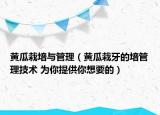 黄瓜栽培与管理（黄瓜栽牙的培管理技术 为你提供你想要的）