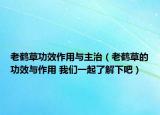 老鹤草功效作用与主治（老鹤草的功效与作用 我们一起了解下吧）