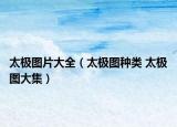 太极图片大全（太极图种类 太极图大集）