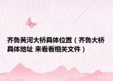 齐鲁黄河大桥具体位置（齐鲁大桥具体地址 来看看相关文件）
