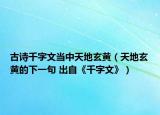 古诗千字文当中天地玄黄（天地玄黄的下一句 出自《千字文》）