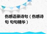 伤感语录诗句（伤感诗句 句句精华）