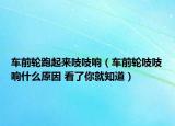车前轮跑起来吱吱响（车前轮吱吱响什么原因 看了你就知道）