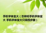 手机字体变大（怎样将手机字体变大 手机字体变大只需四步骤）