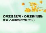 乙蒜素什么好处（乙蒜素的作用是什么 乙蒜素的功效是什么）