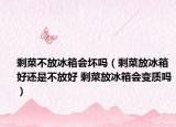剩菜不放冰箱会坏吗（剩菜放冰箱好还是不放好 剩菜放冰箱会变质吗）