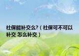 社保能补交么?（社保可不可以补交 怎么补交）