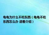 龟龟为什么不吃东西（龟龟不吃东西怎么办 请看介绍）