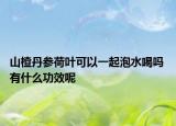 山楂丹参荷叶可以一起泡水喝吗 有什么功效呢
