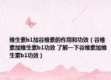 维生素b1加谷维素的作用和功效（谷维素加维生素b1功效 了解一下谷维素加维生素b1功效）
