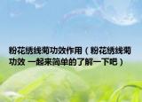 粉花绣线菊功效作用（粉花绣线菊功效 一起来简单的了解一下吧）