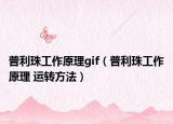 普利珠工作原理gif（普利珠工作原理 运转方法）