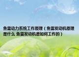 鱼雷动力系统工作原理（鱼雷发动机原理是什么 鱼雷发动机是如何工作的）